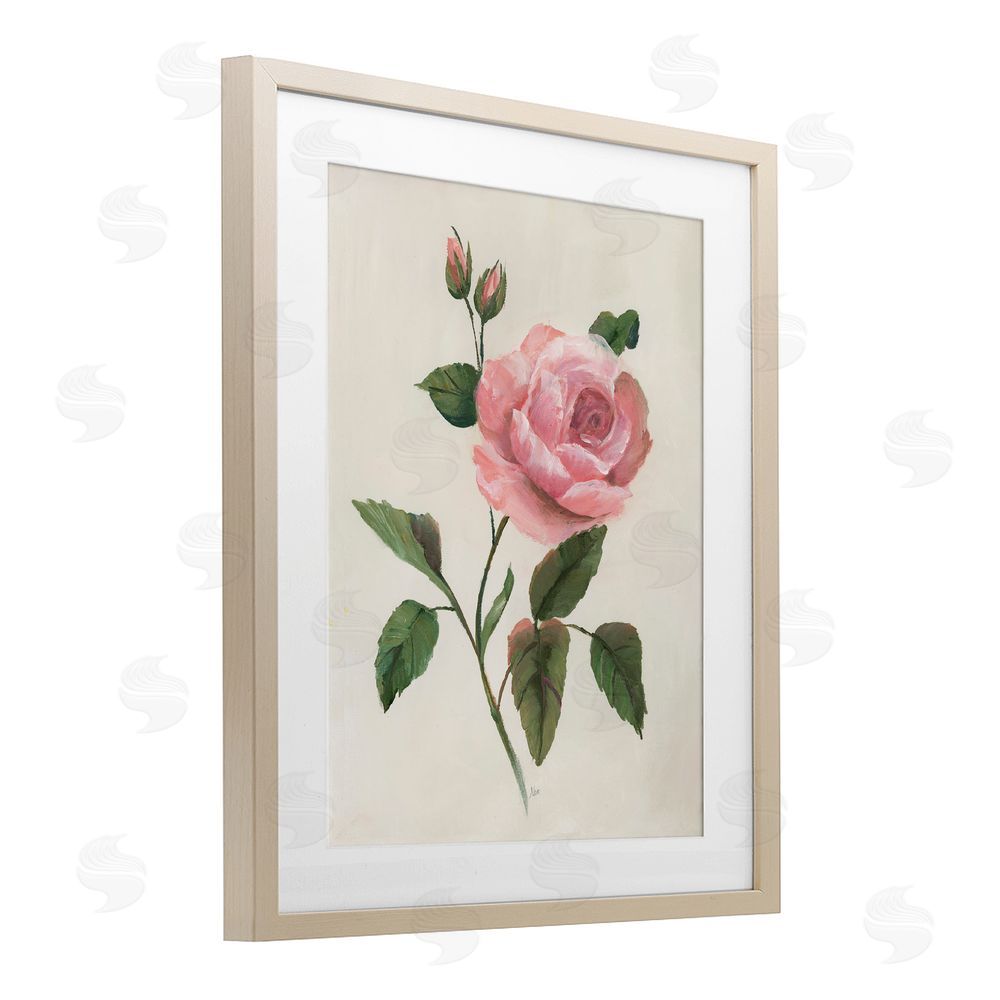 Nan Rosie Rose Floral Study Birch Framed Print Under Glass Art