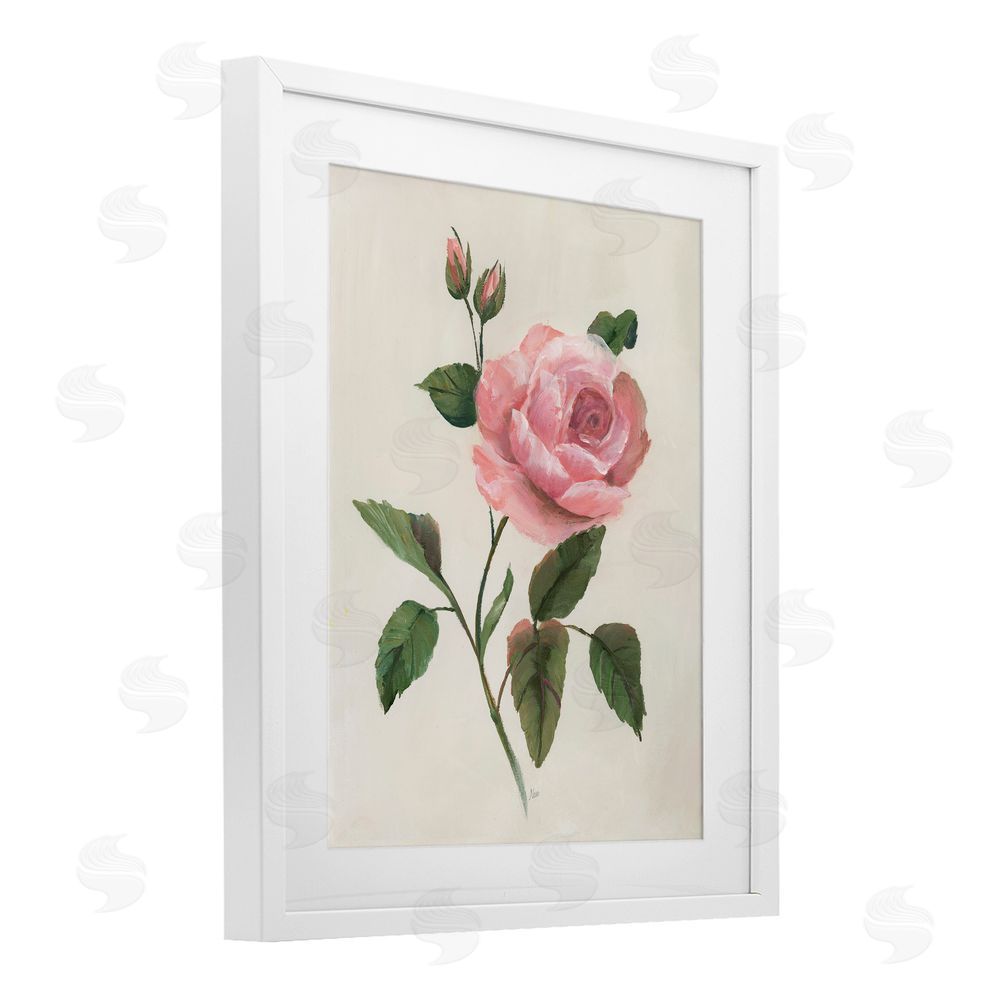Nan Rosie Rose Floral Study White Framed Print Under Glass Art