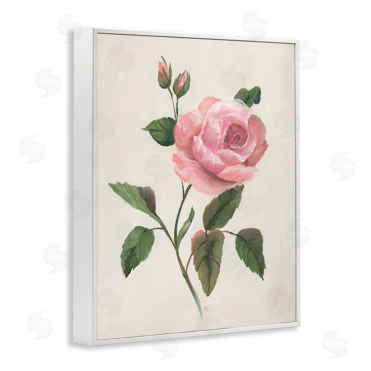 Nan Rosie Rose Floral Study White Frame Giclee Art Print