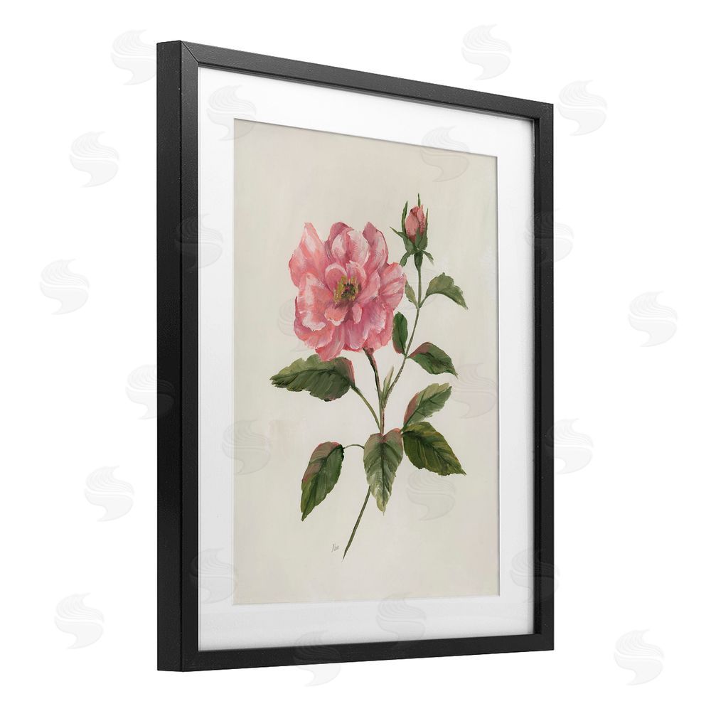 Nan Rosie Rose Flower Blossom Black Framed Print Under Glass Art