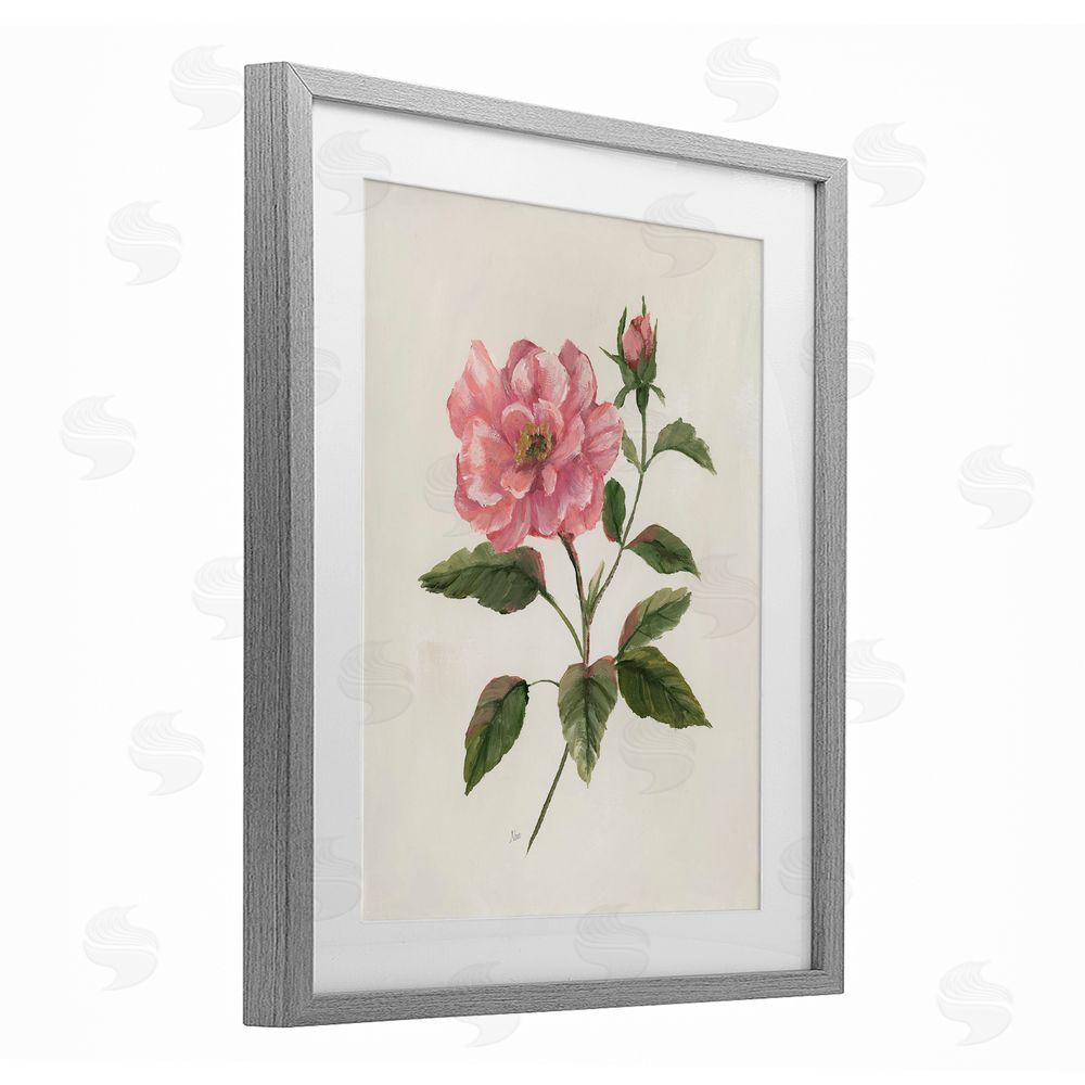 Nan Rosie Rose Flower Blossom Gray Framed Print Under Glass Art