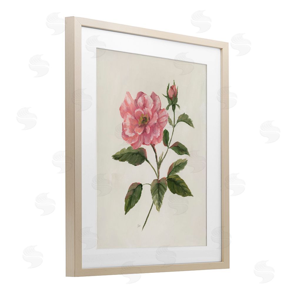 Nan Rosie Rose Flower Blossom Birch Framed Print Under Glass Art