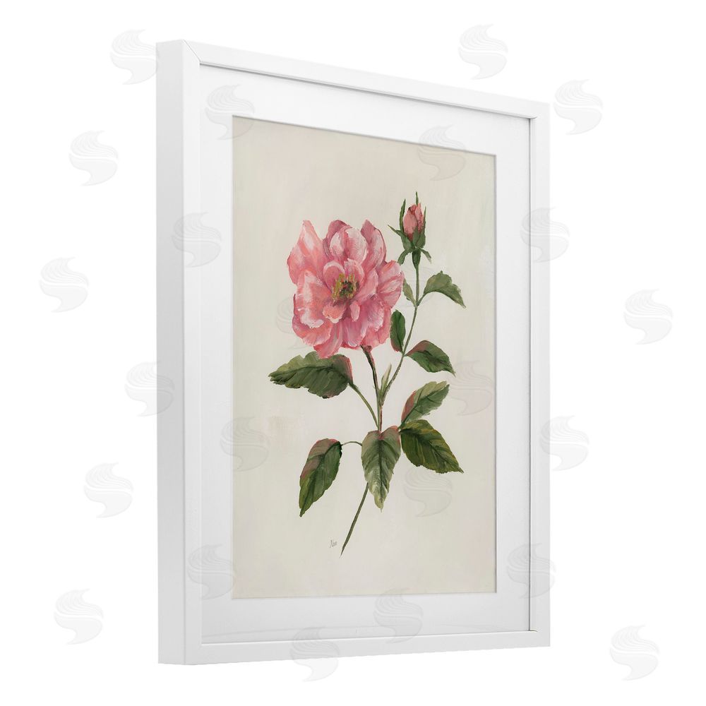 Nan Rosie Rose Flower Blossom White Framed Print Under Glass Art
