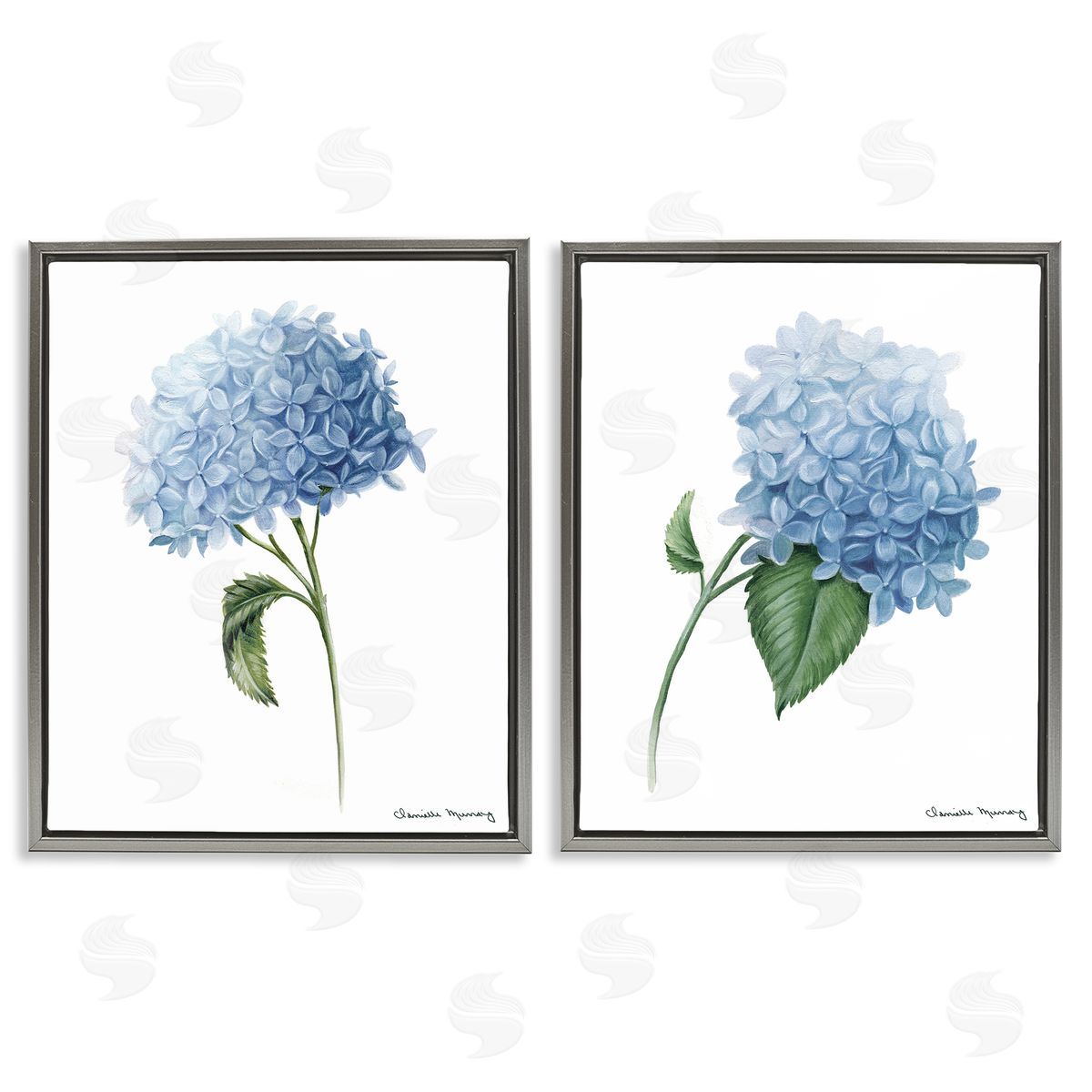 Danielle Murray In Bloom Hydrangeas Canvas Wall Art Print
