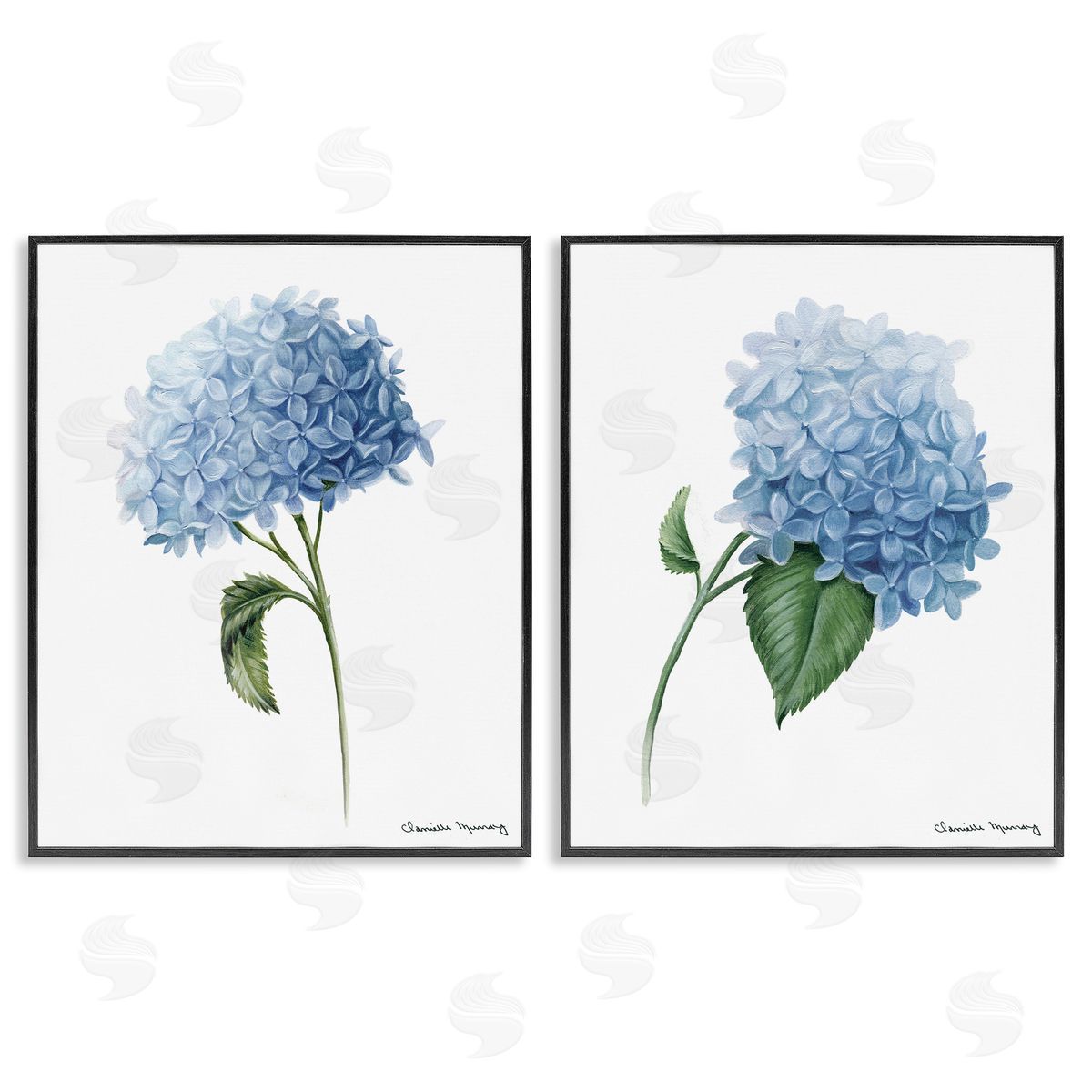 Danielle Murray In Bloom Hydrangeas Canvas Wall Art Print