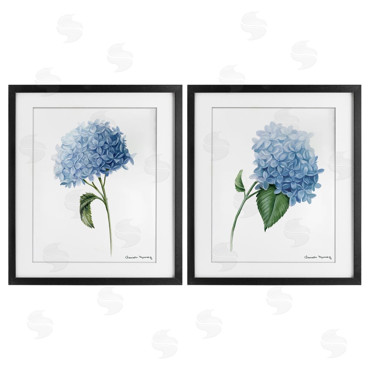 Danielle Murray In Bloom Hydrangeas Canvas Wall Art Print