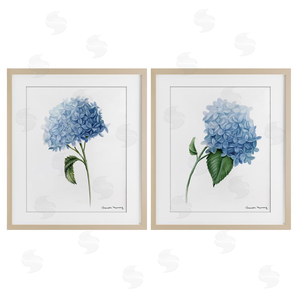 Danielle Murray In Bloom Hydrangeas Canvas Wall Art Print