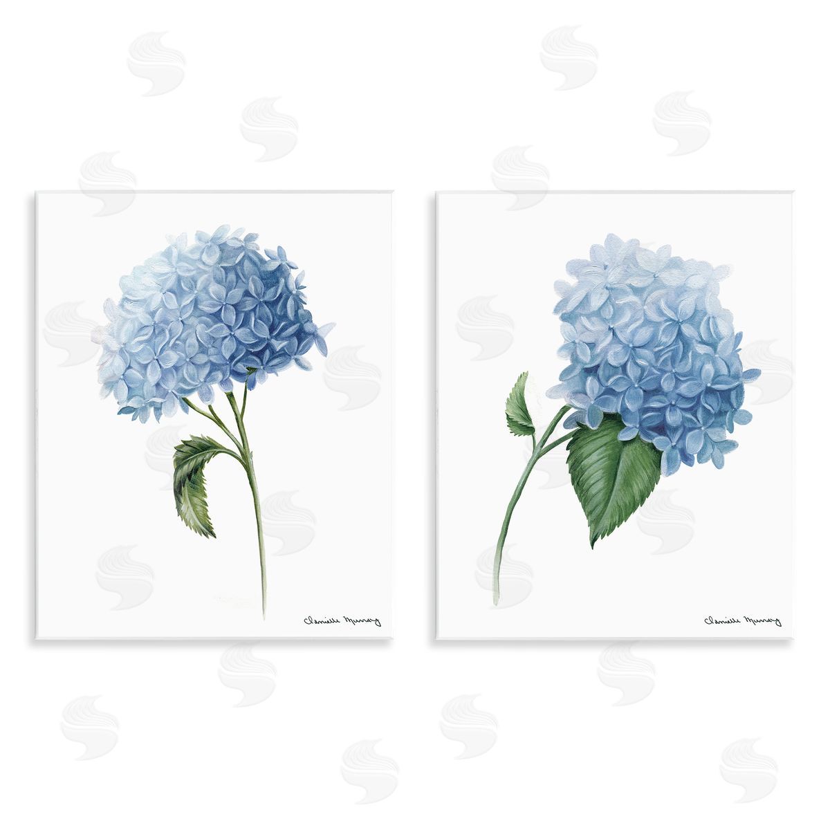 Danielle Murray In Bloom Hydrangeas Canvas Wall Art Print