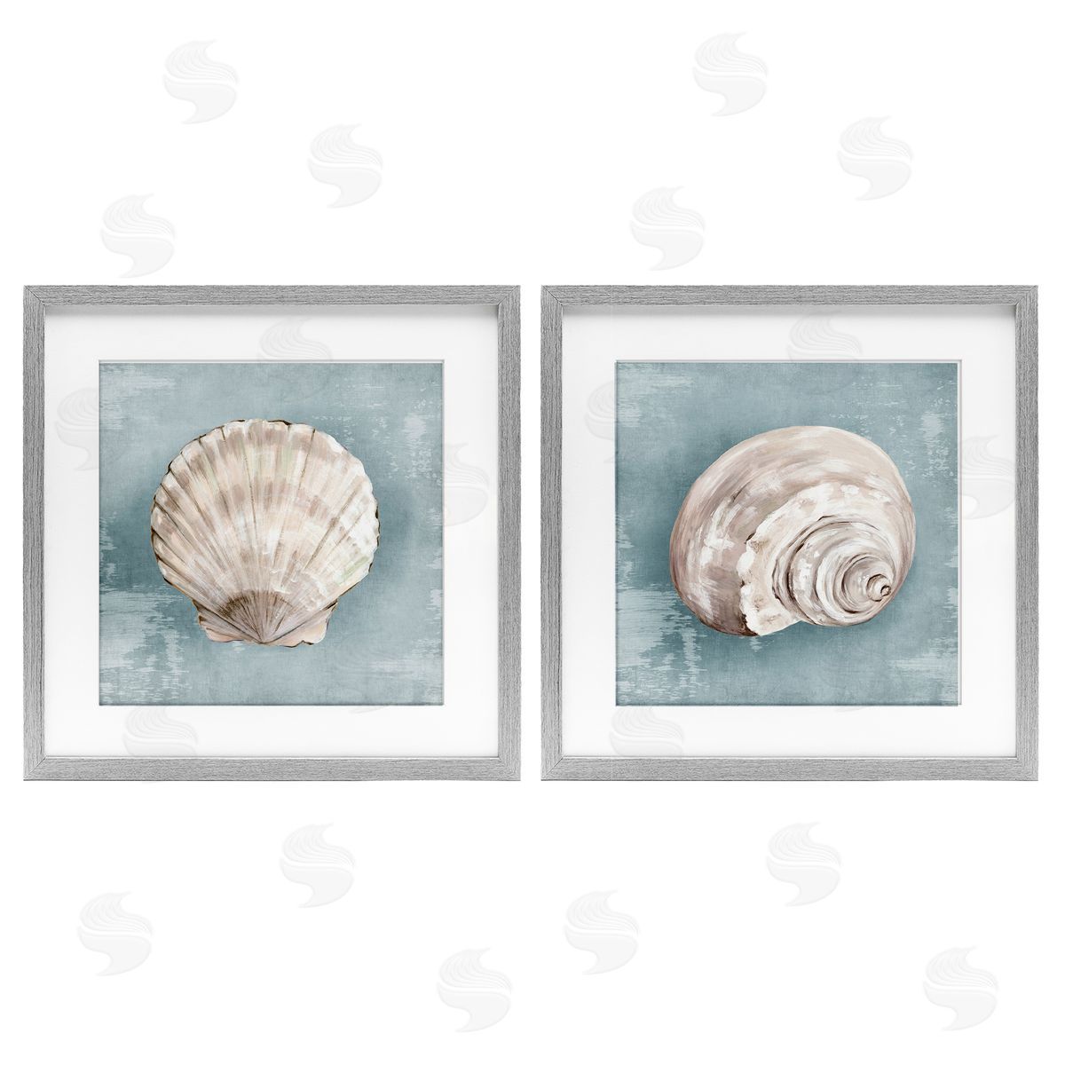 Eli Jones Seashell Whispers of Shore Canvas Wall Art Print