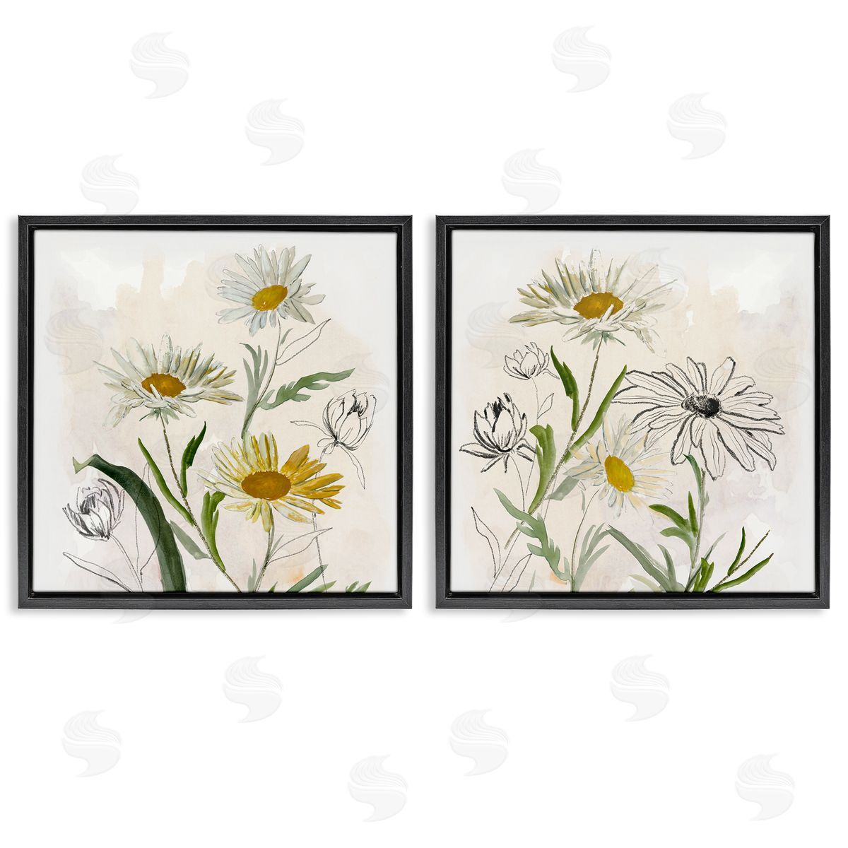 Jacob Q Pure and Simple Daisies Canvas Wall Art Print