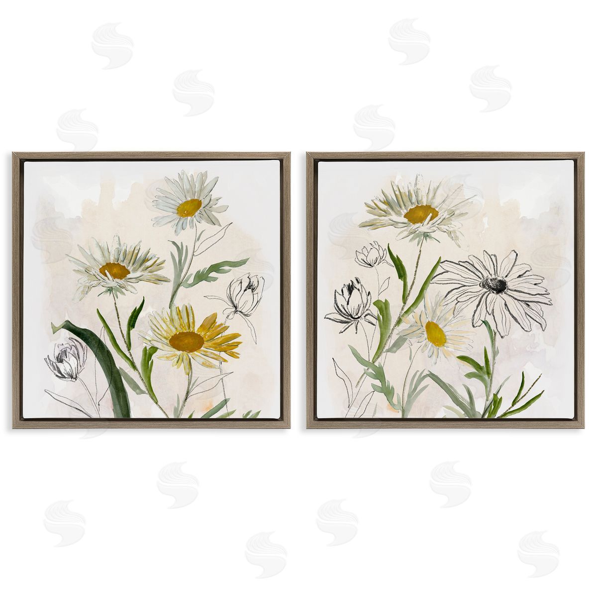Jacob Q Pure and Simple Daisies Canvas Wall Art Print