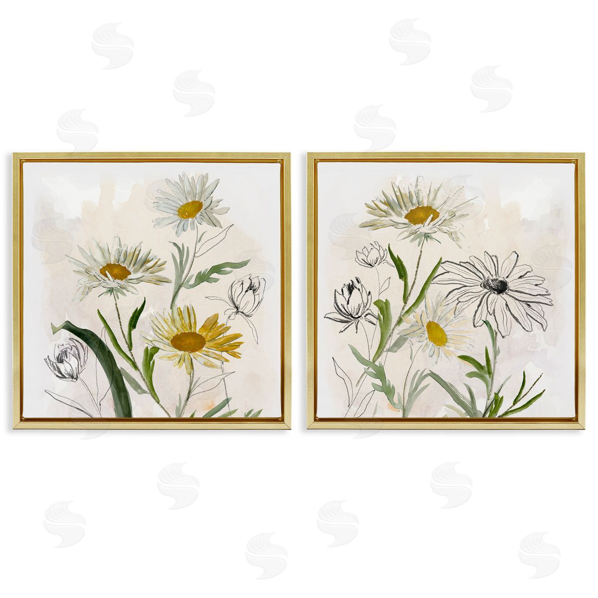 Jacob Q Pure and Simple Daisies Canvas Wall Art Print