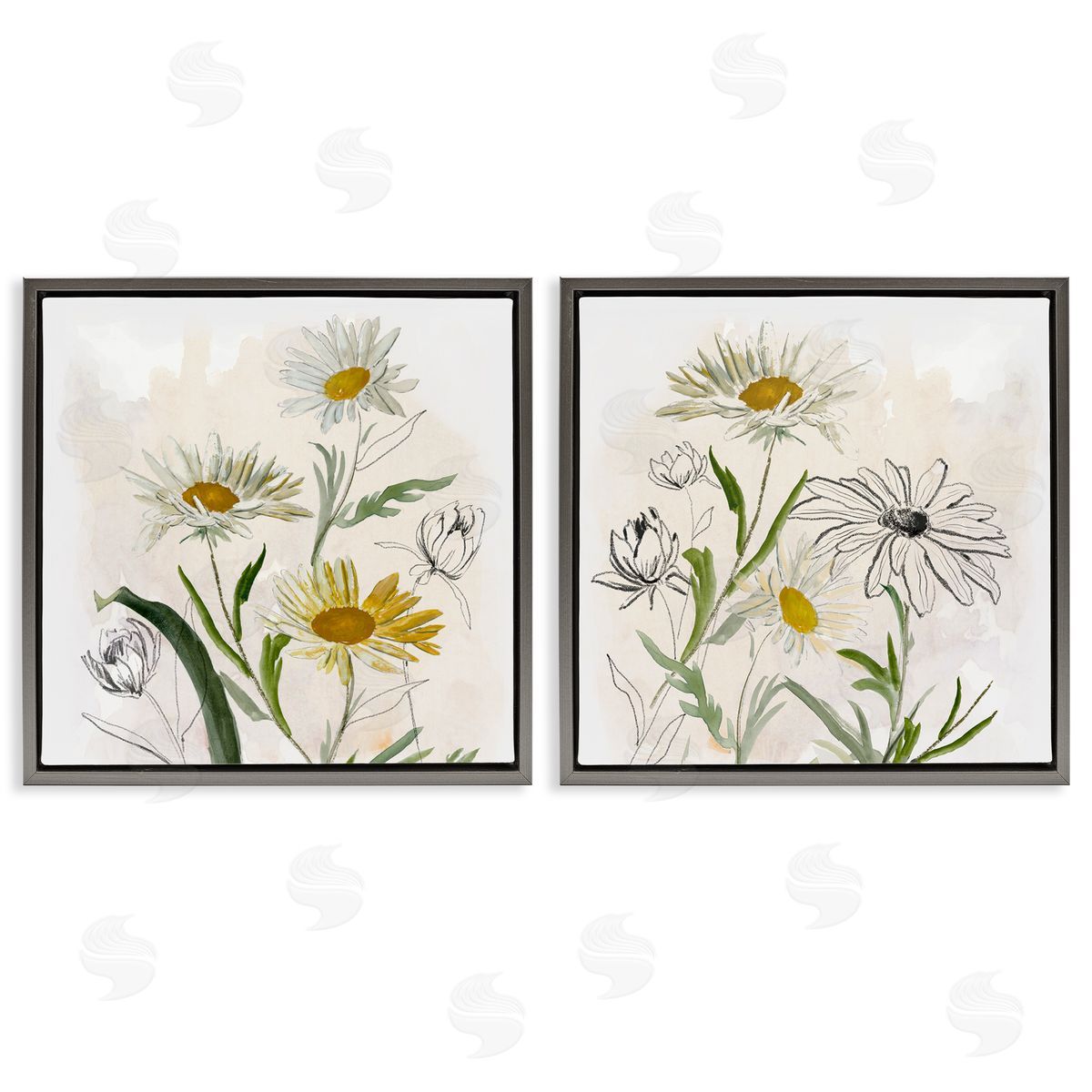 Jacob Q Pure and Simple Daisies Canvas Wall Art Print