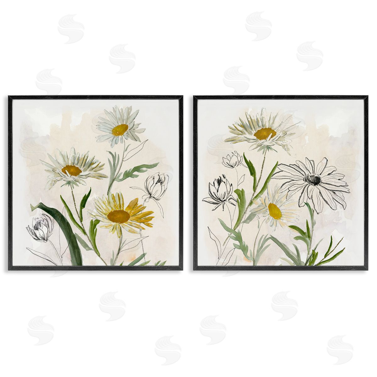 Jacob Q Pure and Simple Daisies Canvas Wall Art Print