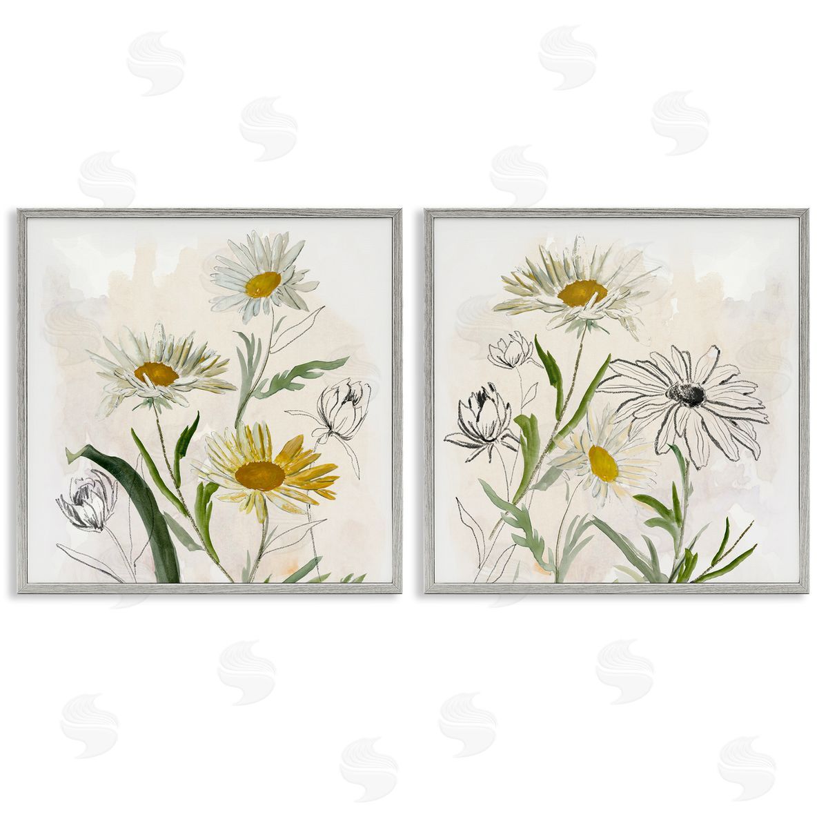 Jacob Q Pure and Simple Daisies Canvas Wall Art Print