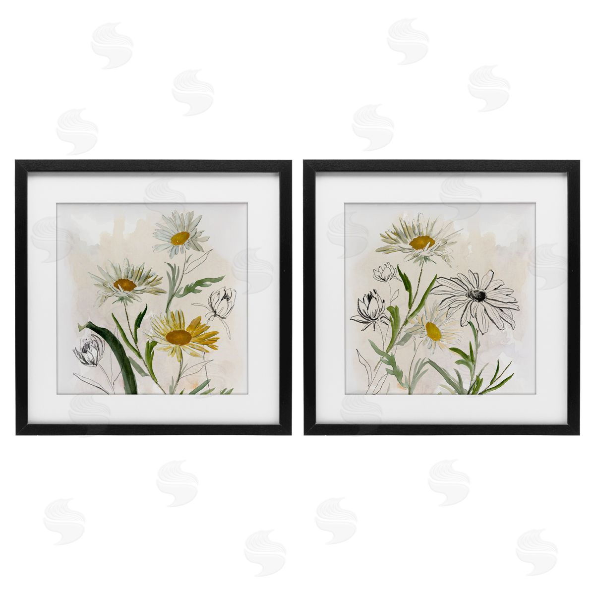 Jacob Q Pure and Simple Daisies Canvas Wall Art Print