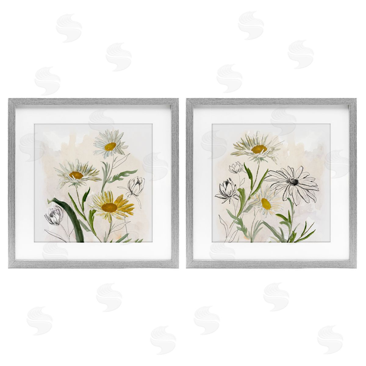 Jacob Q Pure and Simple Daisies Canvas Wall Art Print