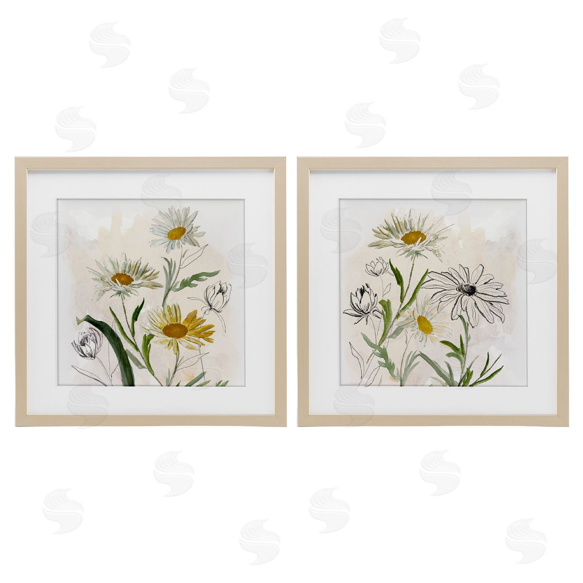 Jacob Q Pure and Simple Daisies Canvas Wall Art Print