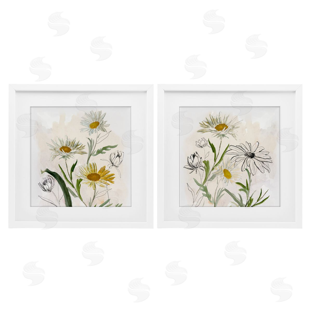 Jacob Q Pure and Simple Daisies Canvas Wall Art Print