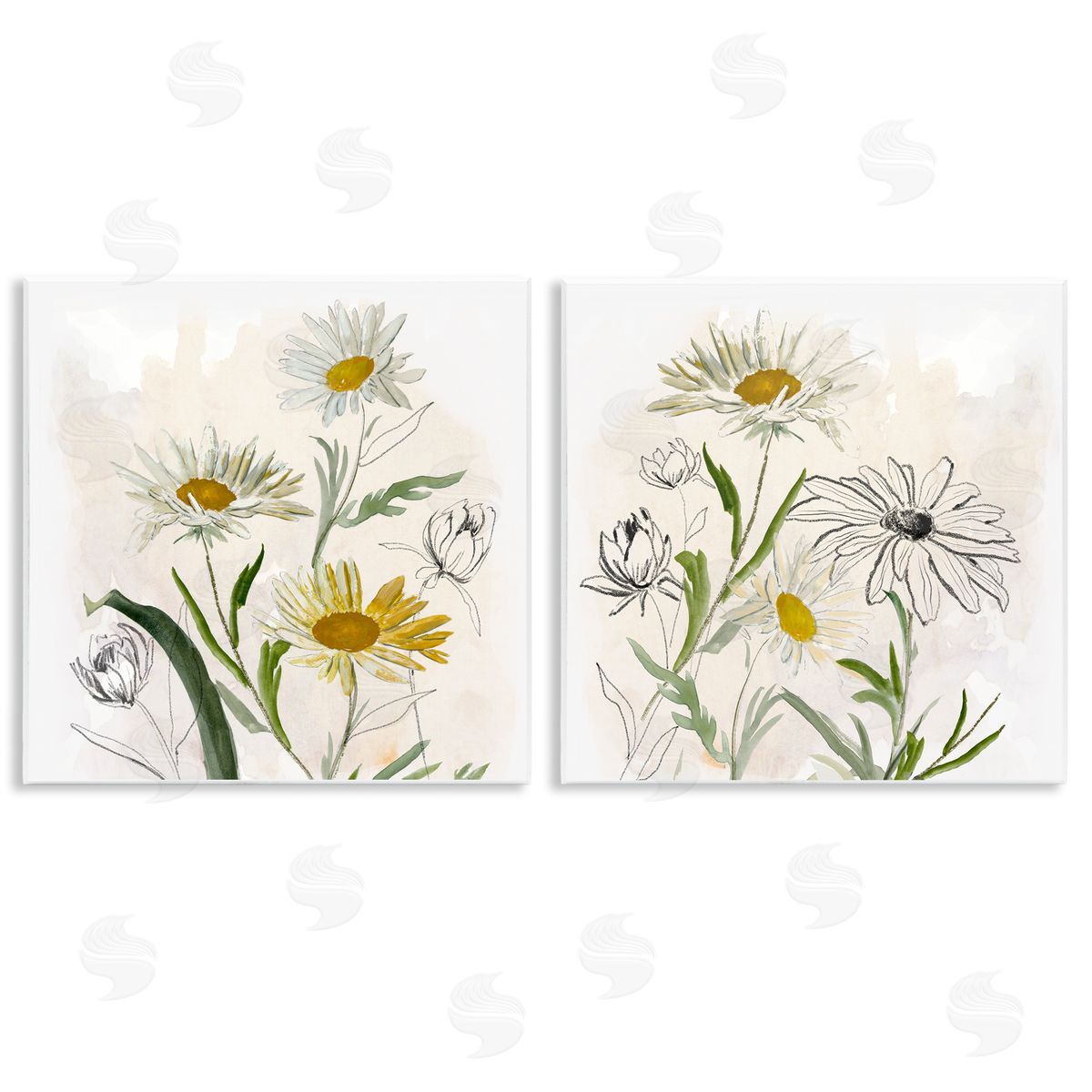 Jacob Q Pure and Simple Daisies Canvas Wall Art Print