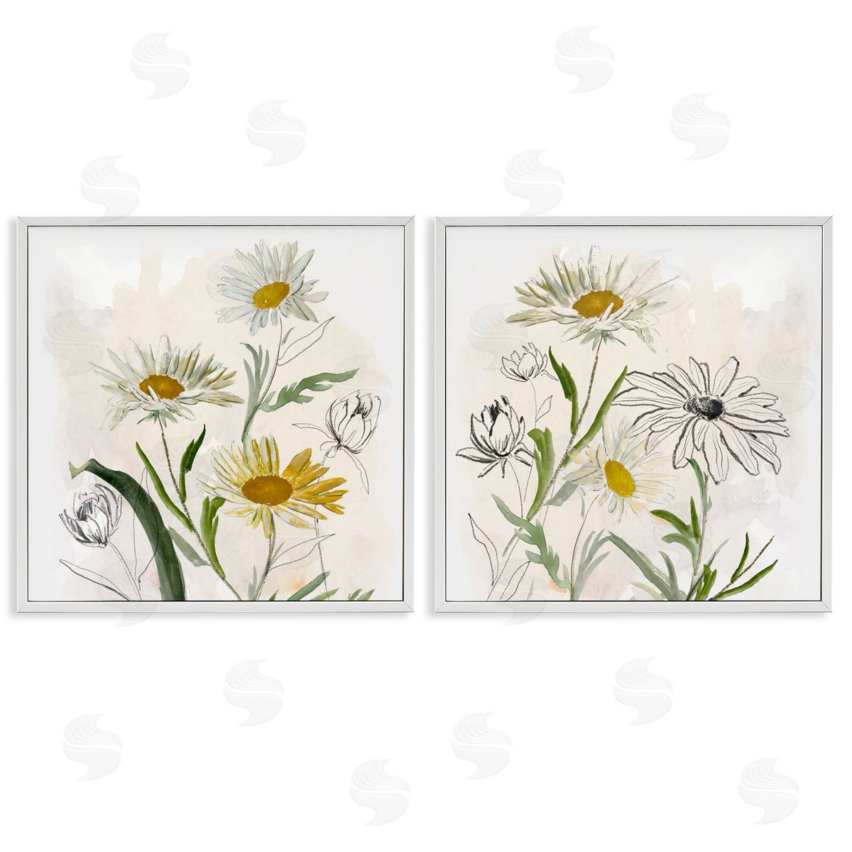 Jacob Q Pure and Simple Daisies Canvas Wall Art Print