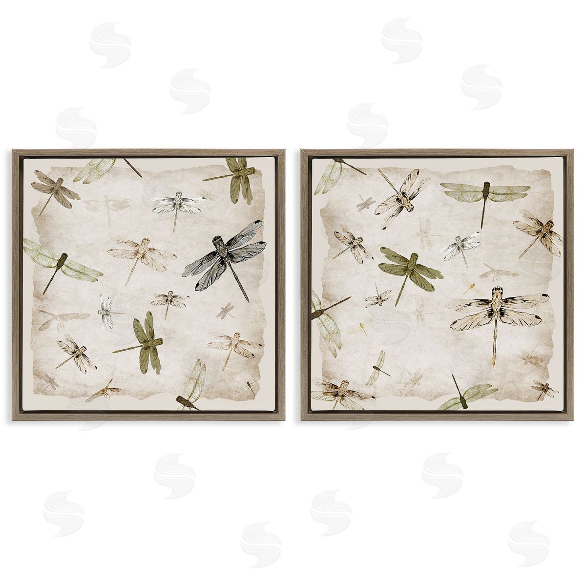 Jacob Q Graceful Dragonflies Illustrations Canvas Wall Art Print