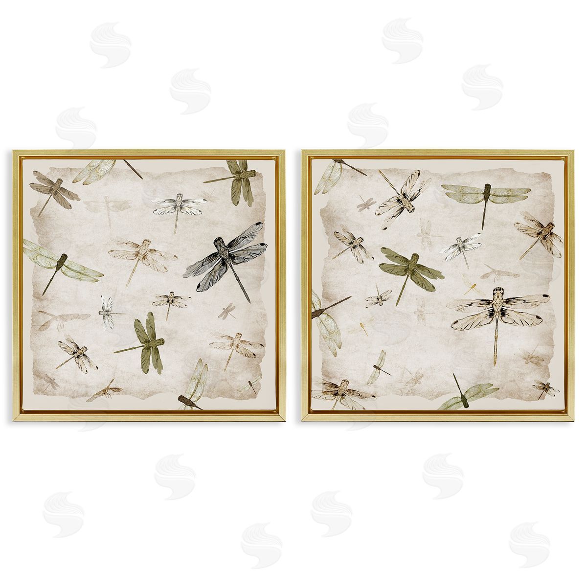 Jacob Q Graceful Dragonflies Illustrations Canvas Wall Art Print