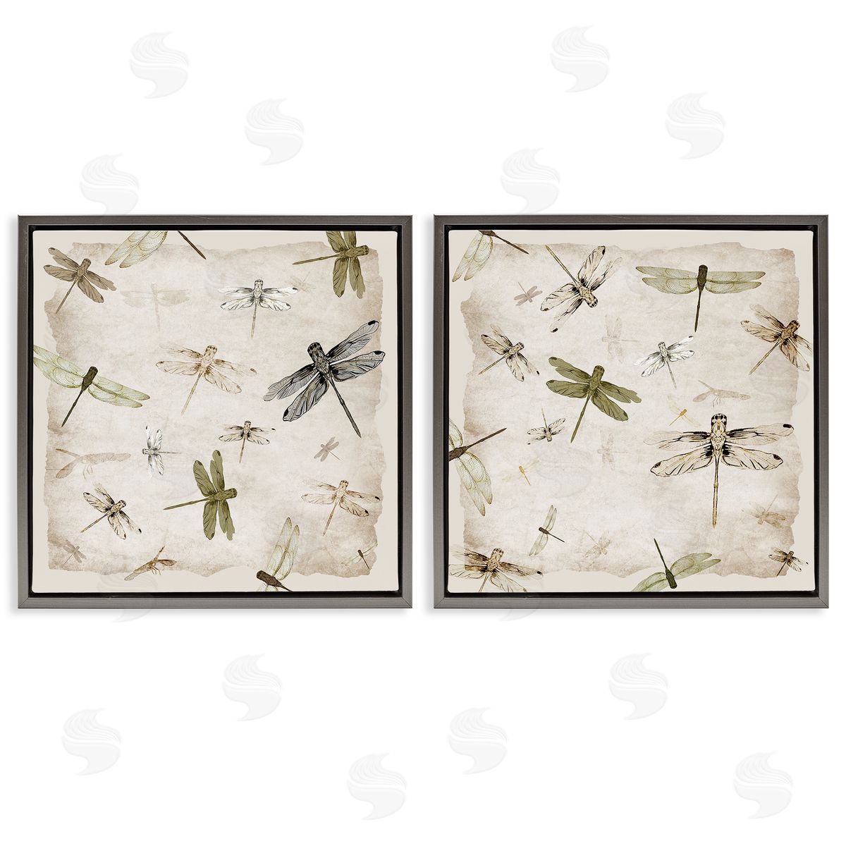 Jacob Q Graceful Dragonflies Illustrations Canvas Wall Art Print