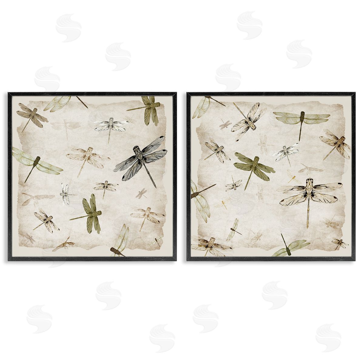 Jacob Q Graceful Dragonflies Illustrations Canvas Wall Art Print