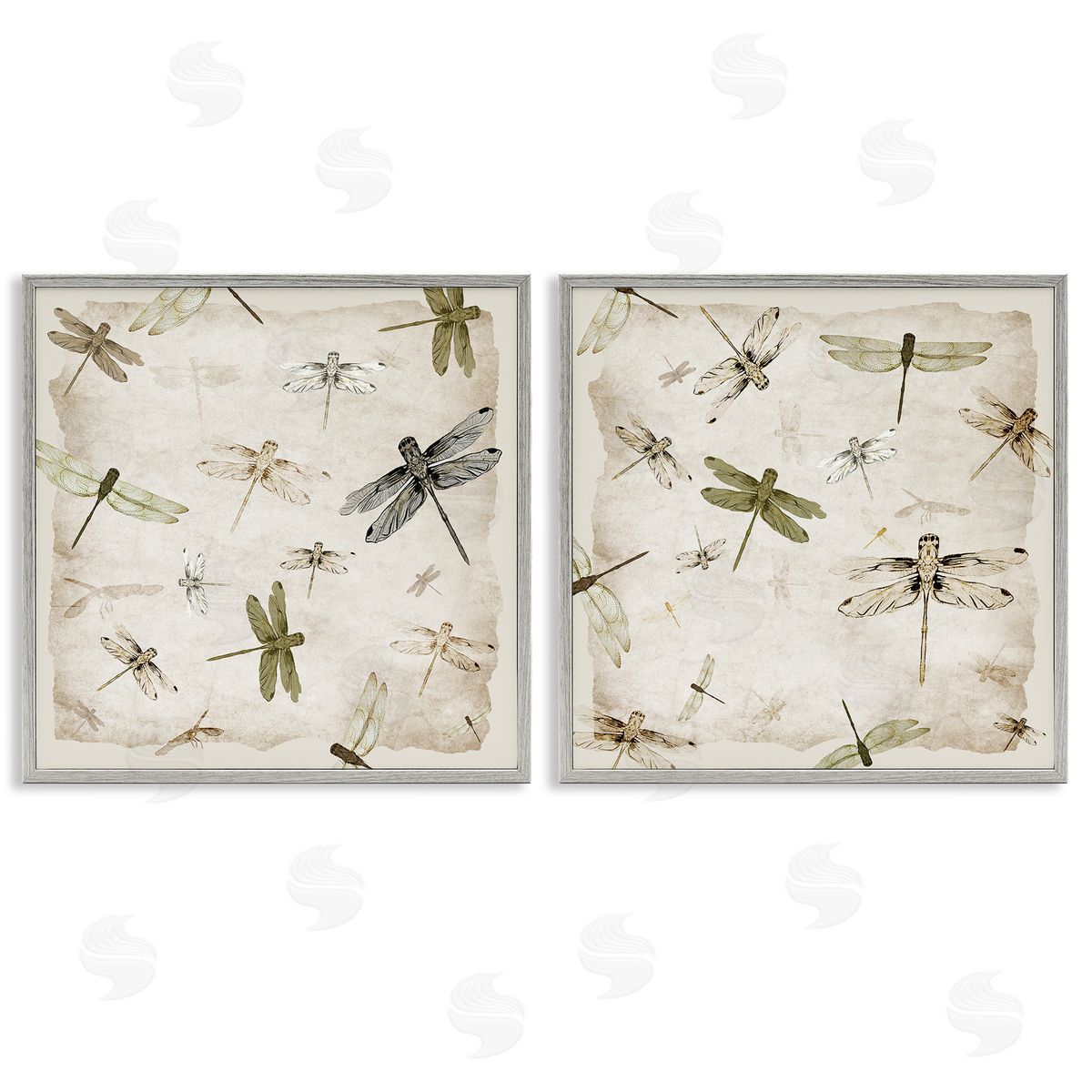 Jacob Q Graceful Dragonflies Illustrations Canvas Wall Art Print