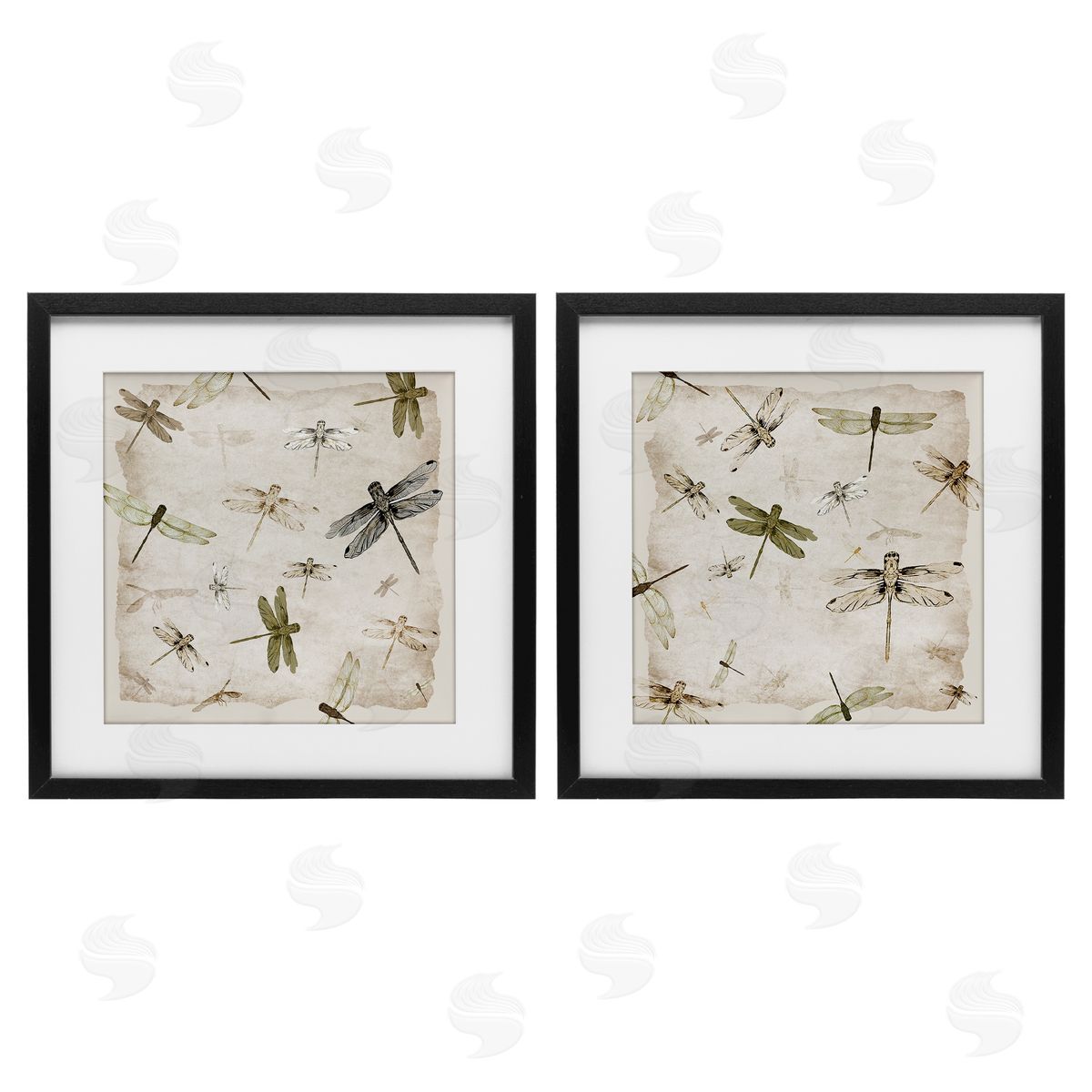 Jacob Q Graceful Dragonflies Illustrations Canvas Wall Art Print