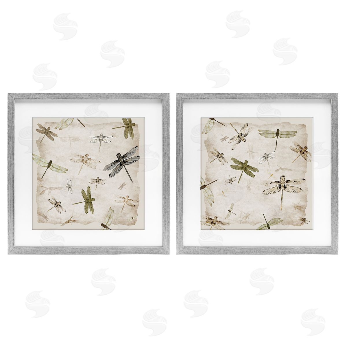 Jacob Q Graceful Dragonflies Illustrations Canvas Wall Art Print