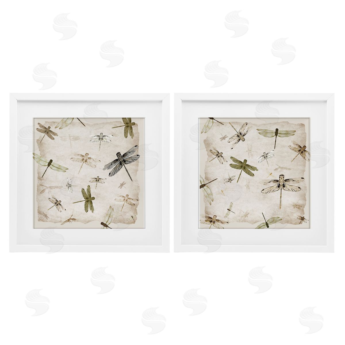 Jacob Q Graceful Dragonflies Illustrations Canvas Wall Art Print