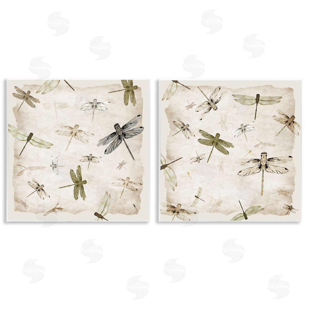Jacob Q Graceful Dragonflies Illustrations Canvas Wall Art Print