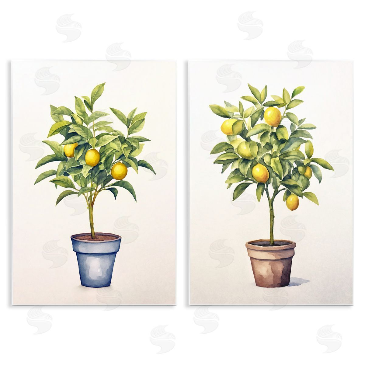 Andrea Haase Potted Citrus Serenade Canvas Wall Art Print