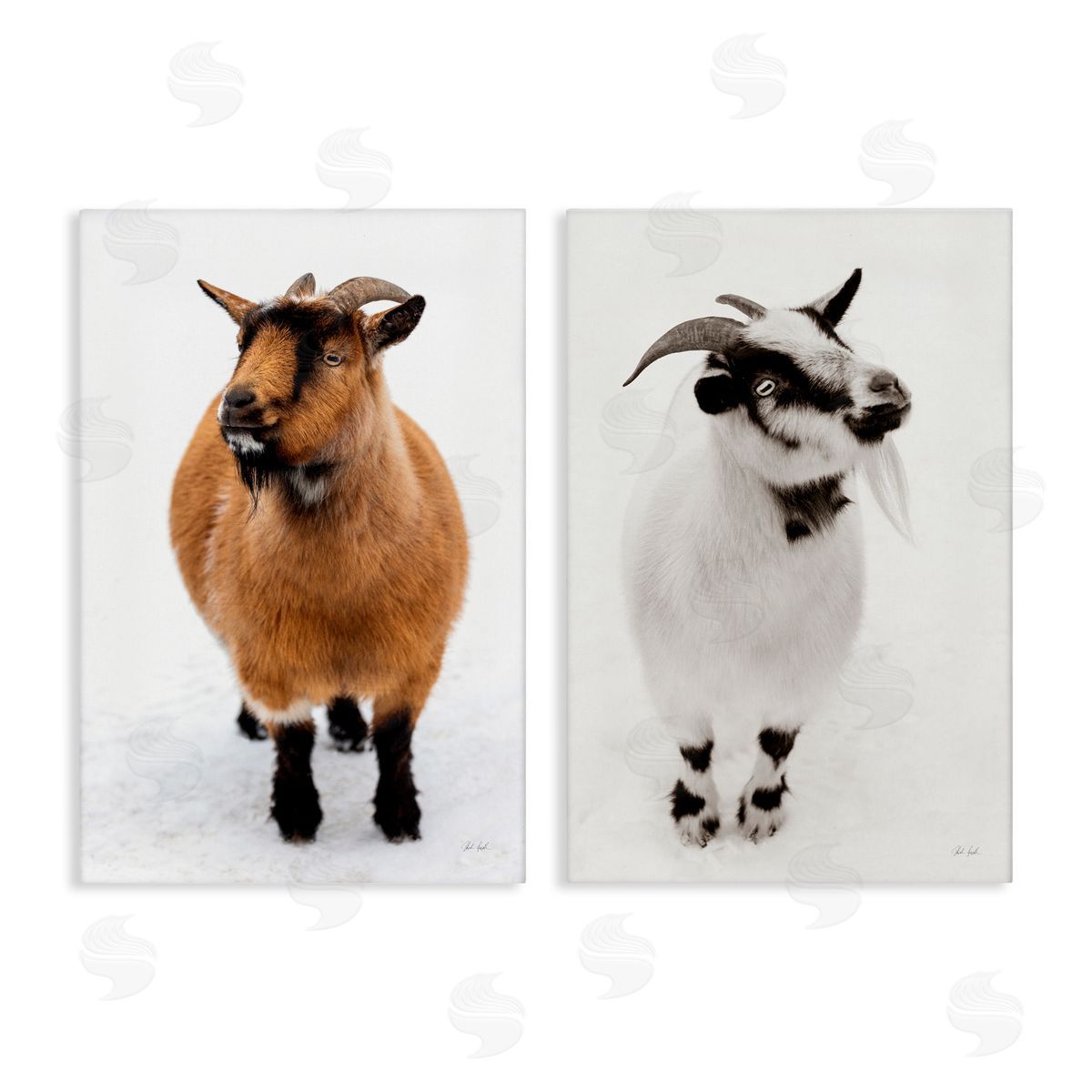 Deborah Revell Two Little Goats Canvas Wall Art Print