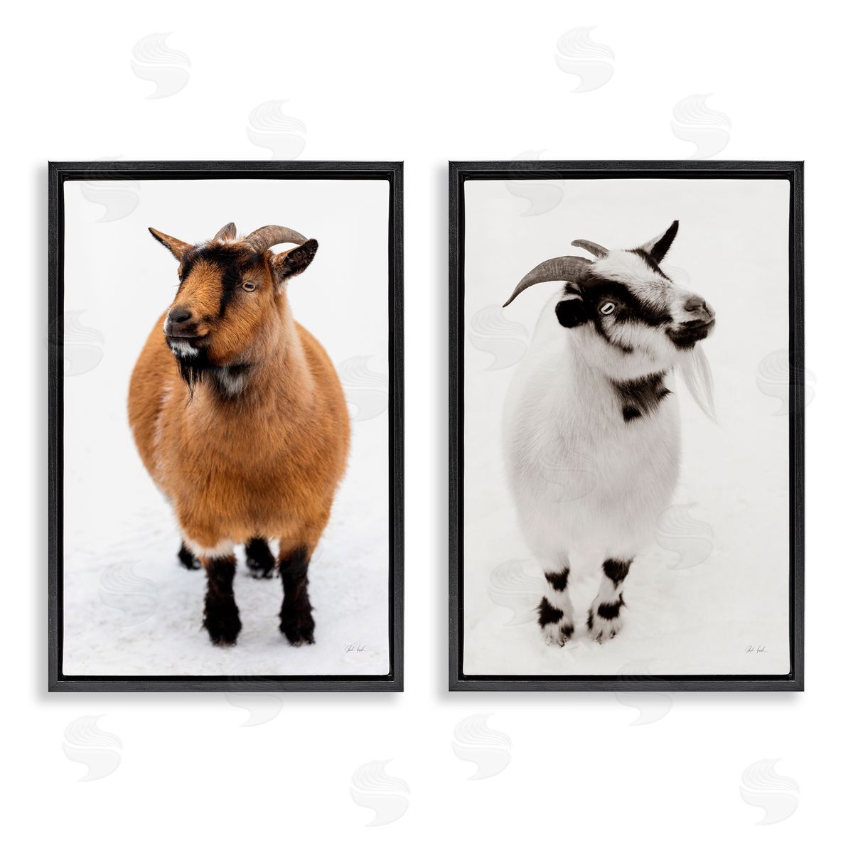 Deborah Revell Two Little Goats Canvas Wall Art Print
