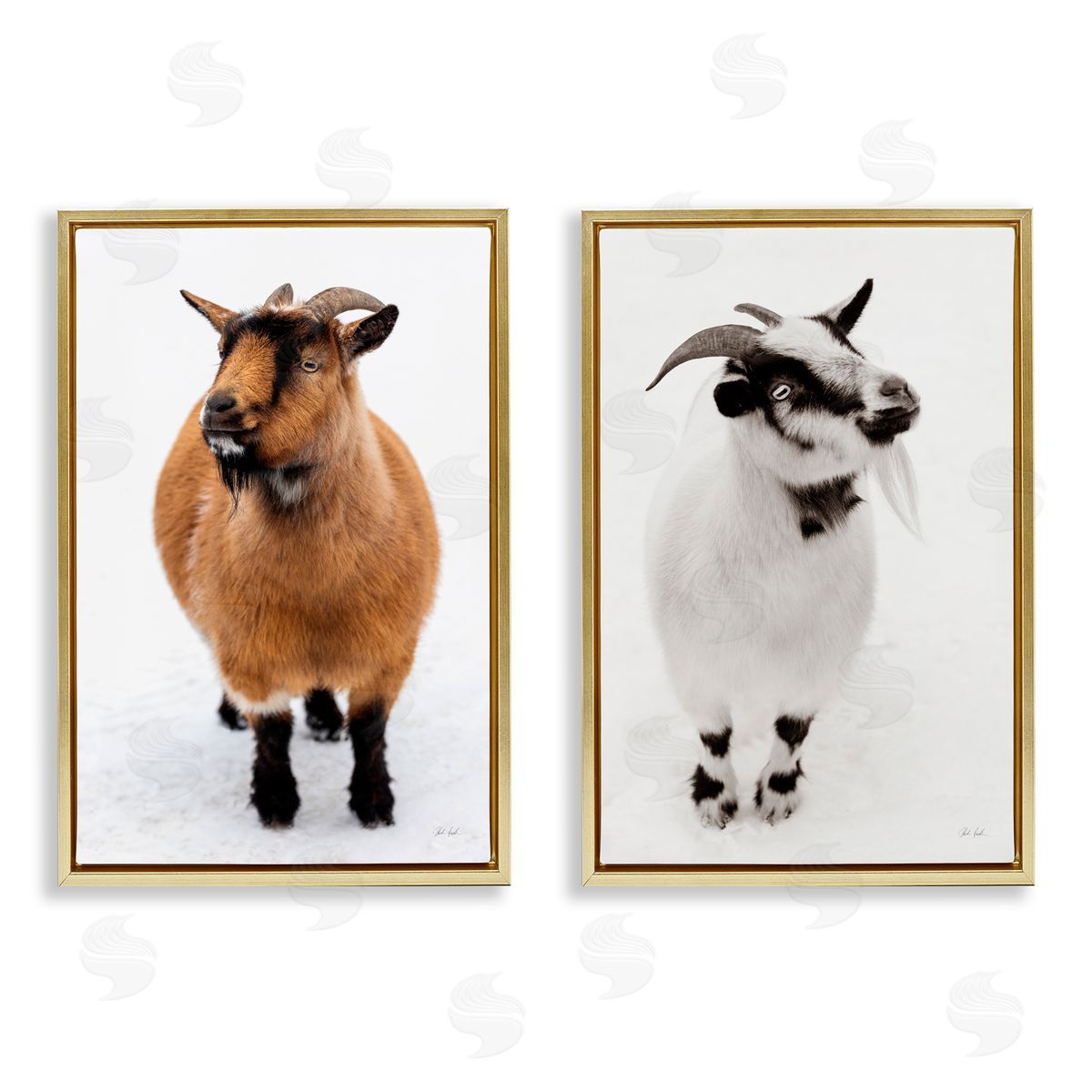 Deborah Revell Two Little Goats Canvas Wall Art Print
