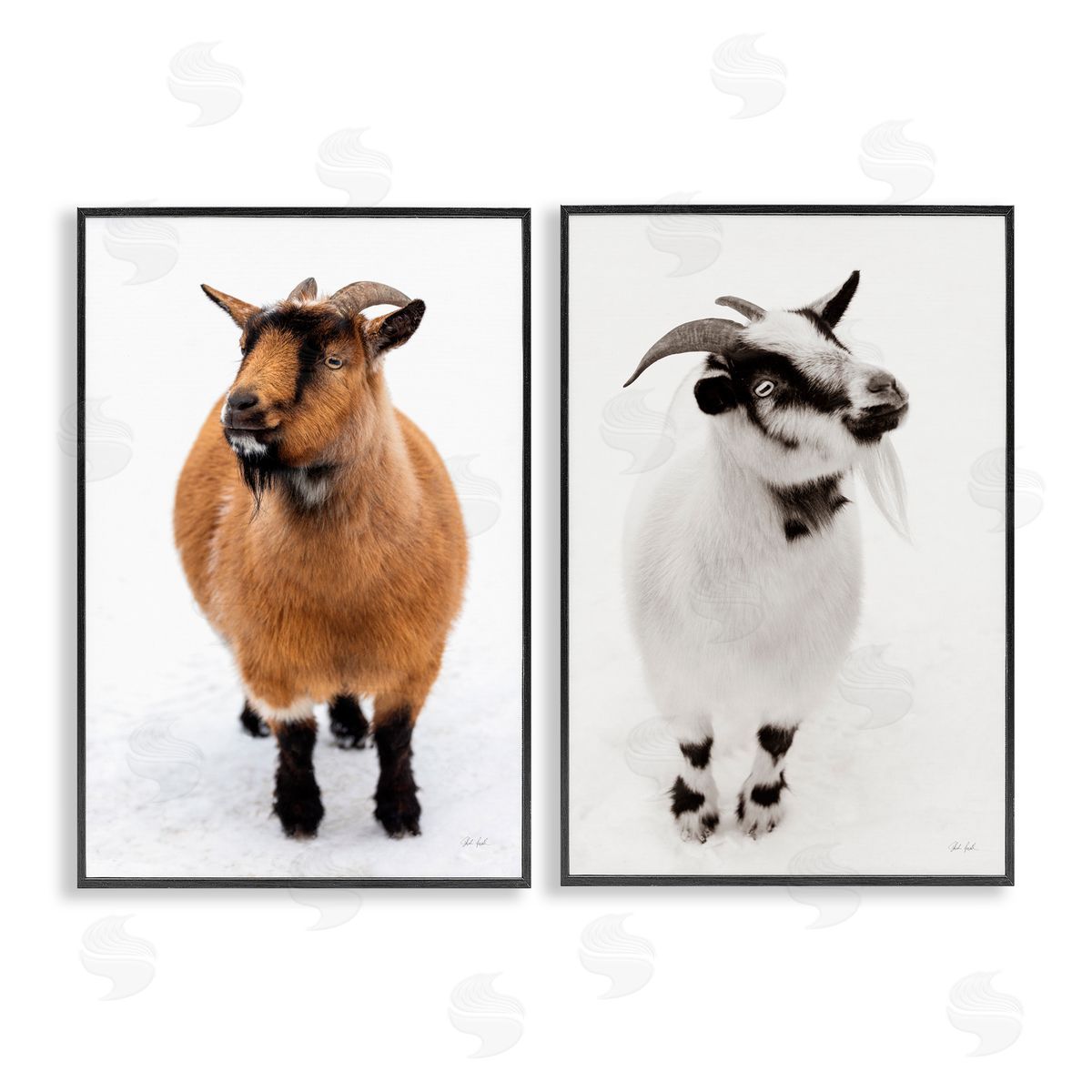 Deborah Revell Two Little Goats Canvas Wall Art Print