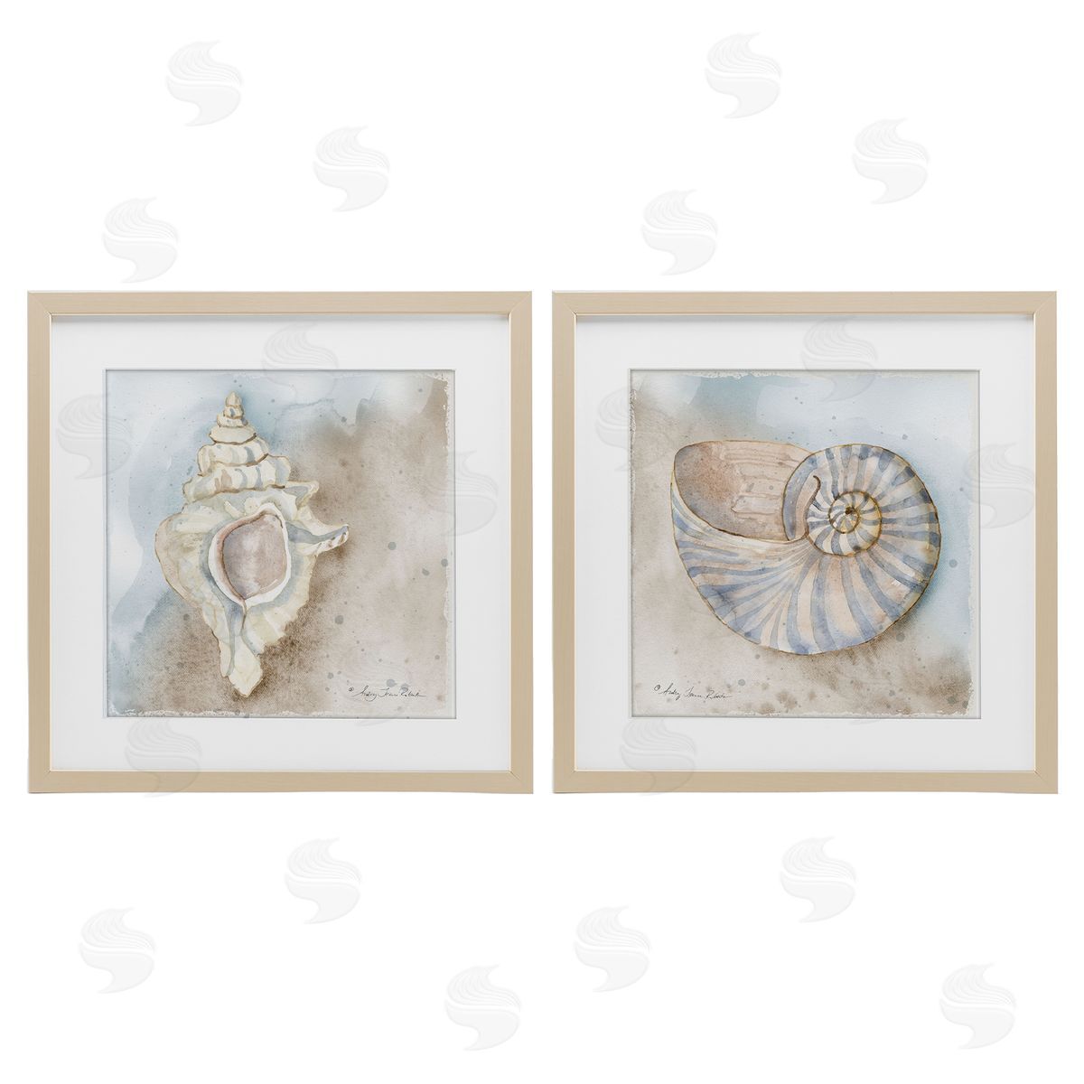 Audrey Jeanne Roberts Conch & Nautilus Ocean's Edge Canvas Wall Art Print