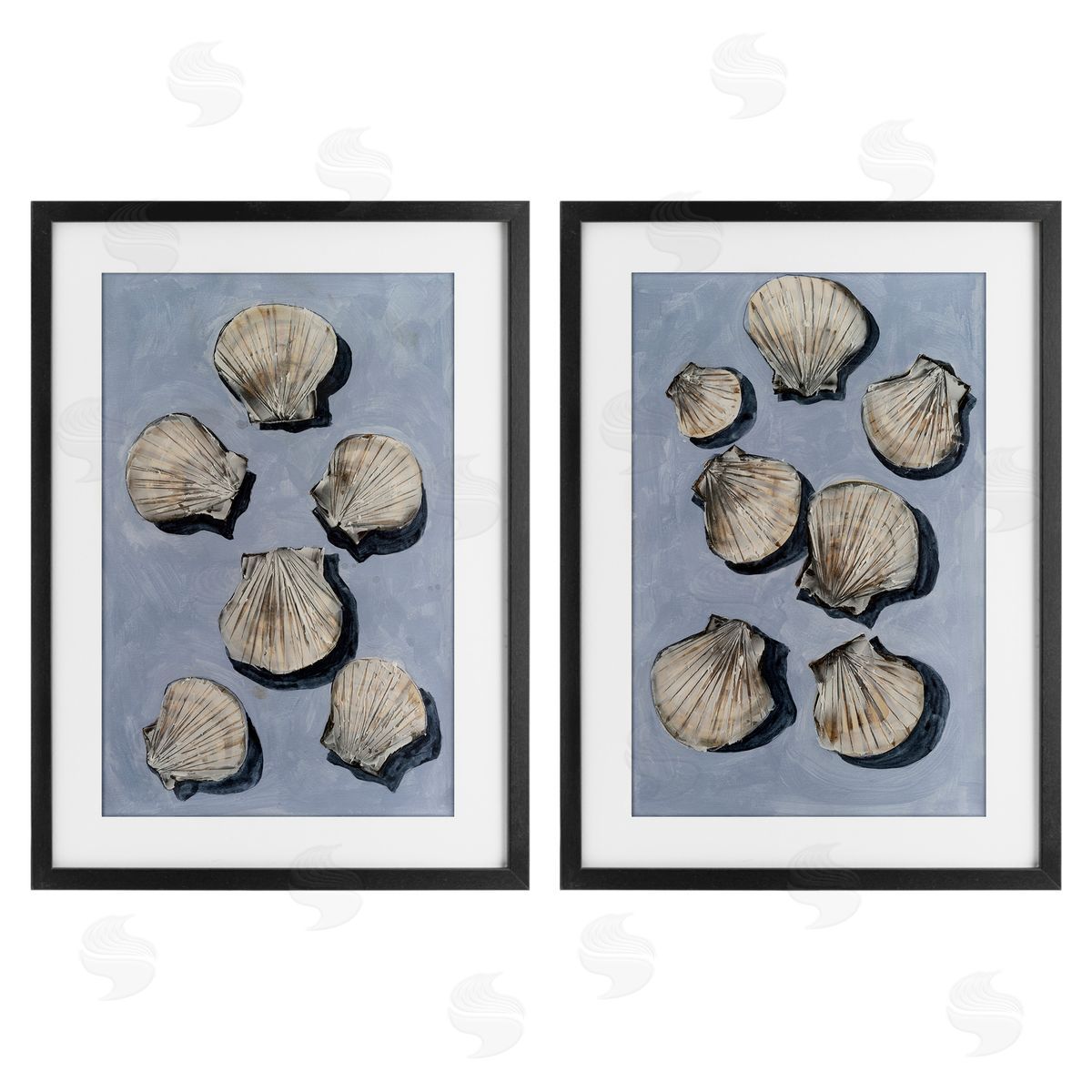 Michael Willett Embellished Clam Seashells Black Framed Print Under Glass Set