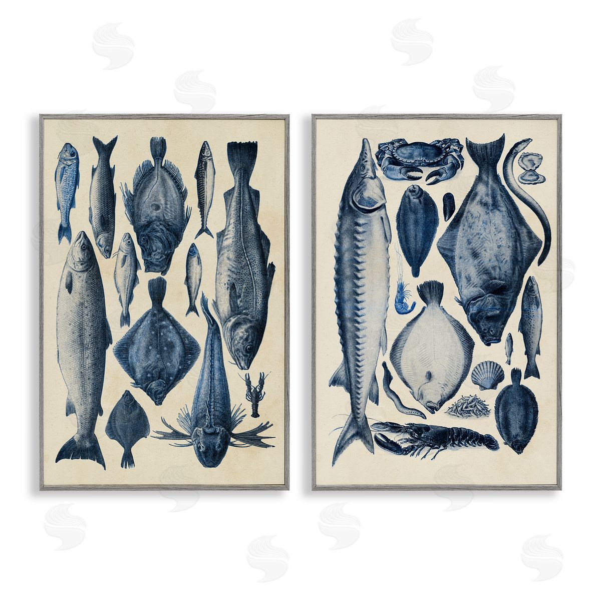 Alicia Longley Various Vintage Blue Fish Chart Gray Framed Giclee Art Set