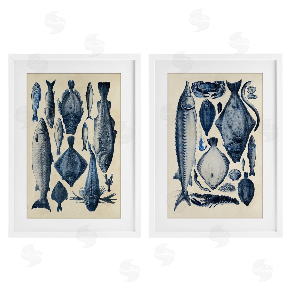 Alicia Longley Various Vintage Blue Fish Chart White Framed Print Under Glass Set