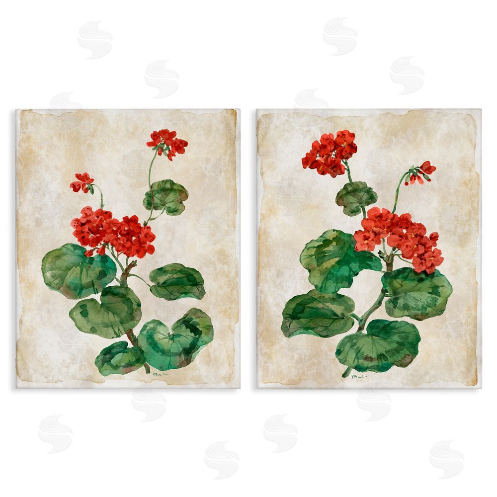 Paul Brent Floral Journal Red Flower Painting Canvas Wall Art Set