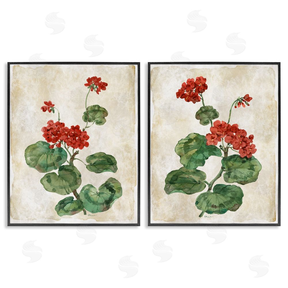 Paul Brent Floral Journal Red Flower Painting Black Framed Giclee Art Set