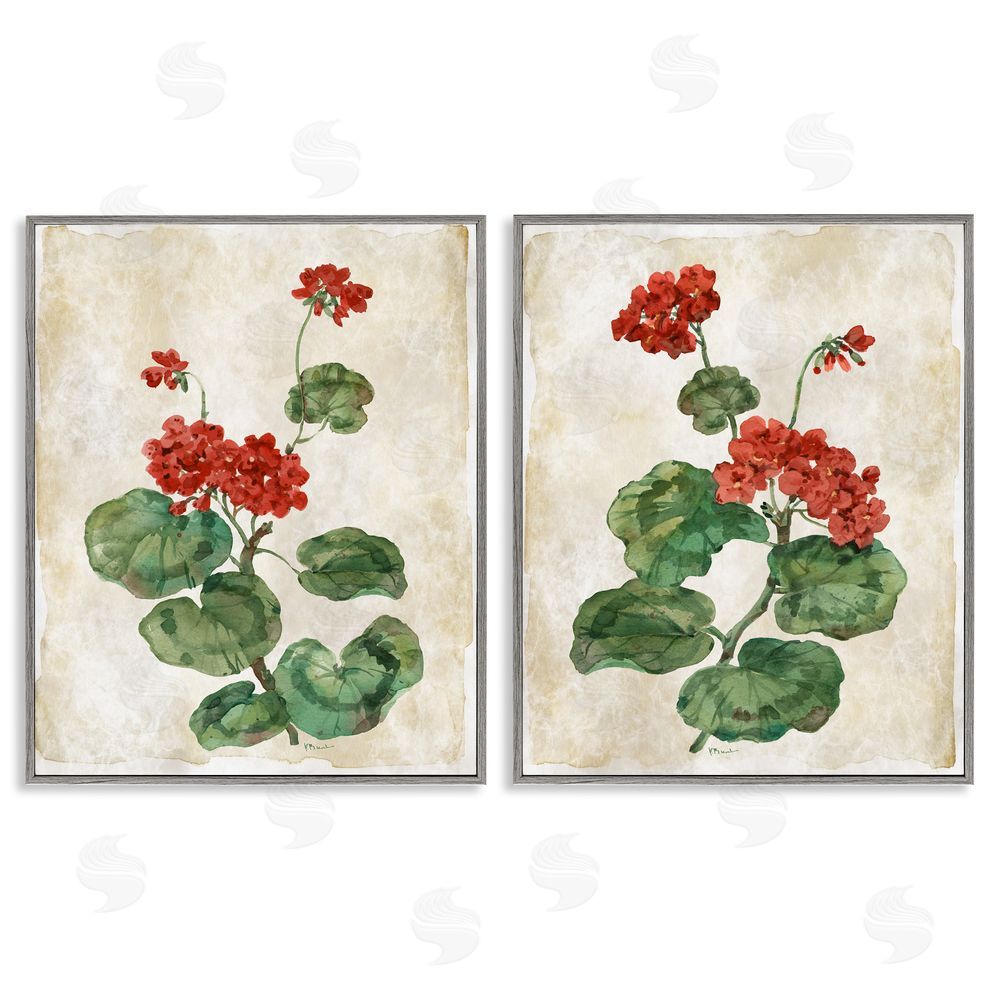 Paul Brent Floral Journal Red Flower Painting Gray Framed Giclee Art Set