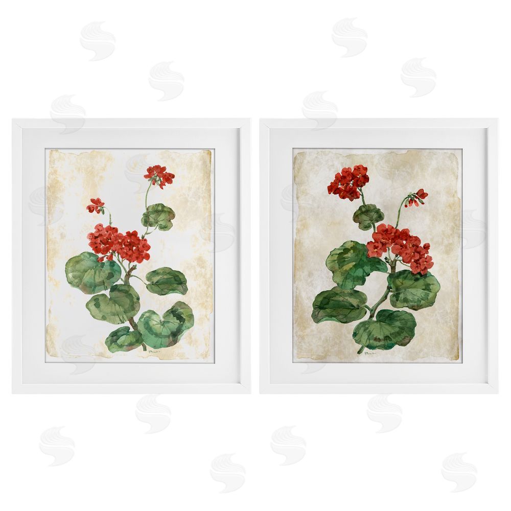 Paul Brent Floral Journal Red Flower Painting White Framed Print Under Glass Set