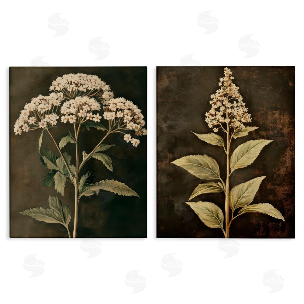 Petal Prints Design Sophisticated and Weathered Flower Portraits Canvas Wall Art Print