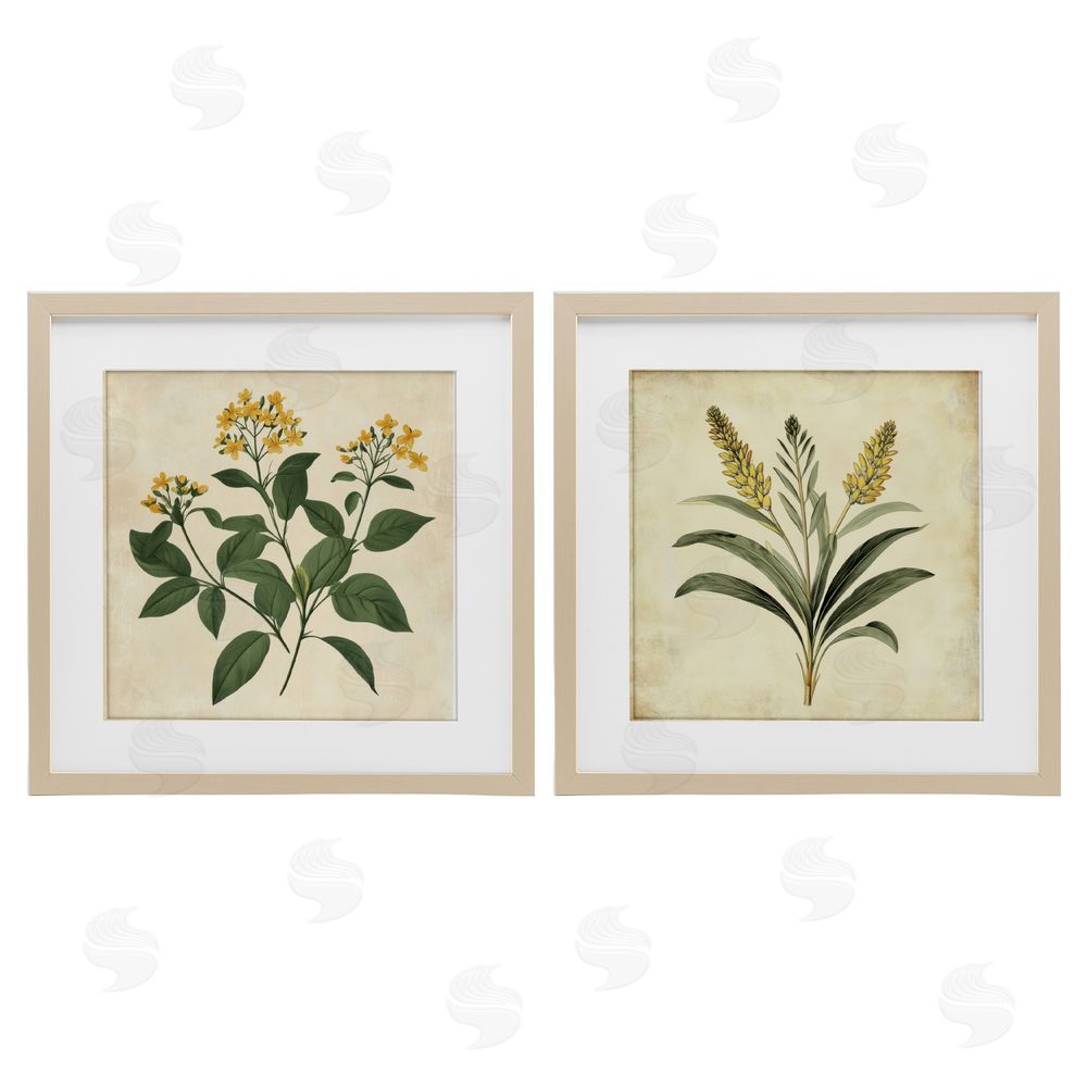Petal Prints Design Vintage Yellow Bushels and Wheat Birch Framed Print Under Glass with White Mat Wall Art