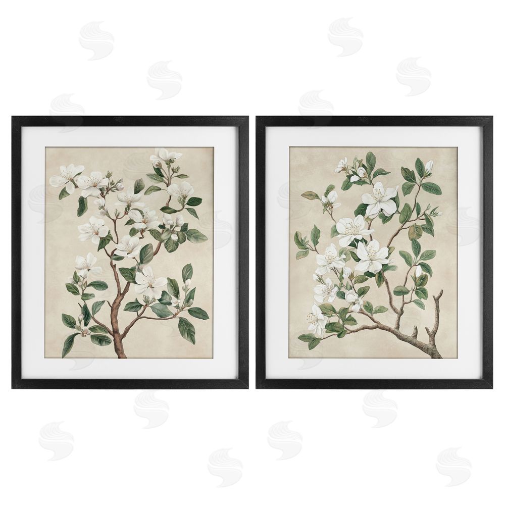 Petal Prints Design Vintage White Floral Blossomed Trees Black Framed Print Under Glass with White Mat Wall Art